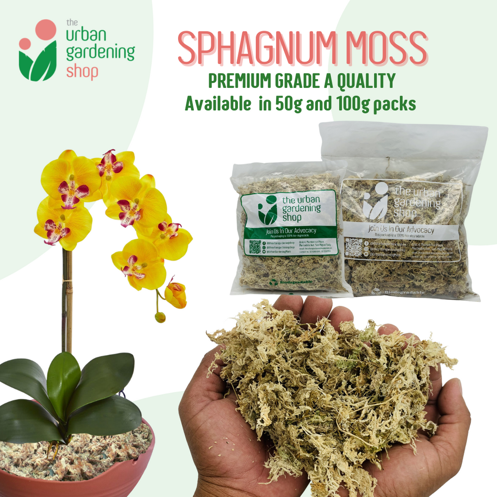 Shop Sphagnum Moss For Plants online