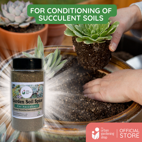 Garden Soil Spice for Succulents - All Natural Soil Additive for Cactus and Succulents